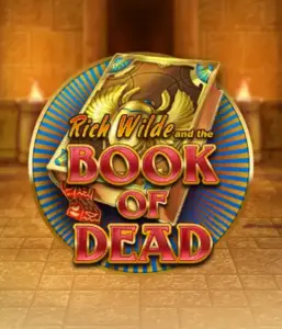 Enter the thrilling world of Book of Dead Slot by Play'n GO, presenting vivid graphics of Rich Wilde’s adventurous journey through ancient Egyptian tombs and artifacts. Discover lost riches with captivating mechanics like free spins, expanding icons, and a gamble option. Ideal for those seeking adventure with a desire for exciting finds.